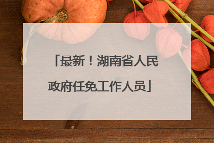 最新！湖南省人民政府任免工作人员