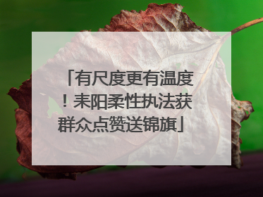 有尺度更有温度！耒阳柔性执法获群众点赞送锦旗