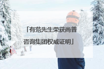有范先生荣获尚普咨询集团权威证明