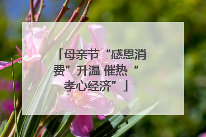 母亲节“感恩消费”升温 催热“孝心经济”