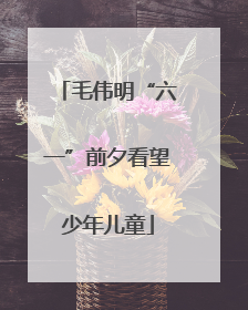 毛伟明“六一”前夕看望少年儿童