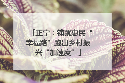 正宁：铺就惠民“幸福路”跑出乡村振兴“加速度”