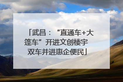 武昌：“直通车+大篷车”开进文创楼宇 双车并进惠企便民