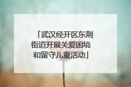 武汉经开区东荆街道开展关爱困境和留守儿童活动