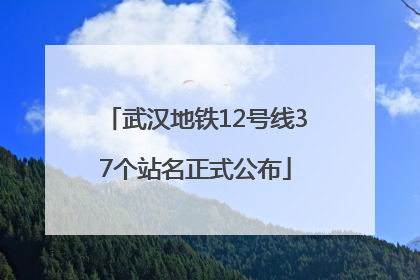武汉地铁12号线37个站名正式公布