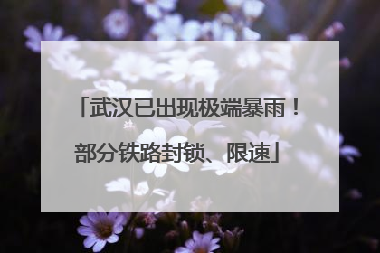 武汉已出现极端暴雨！部分铁路封锁、限速