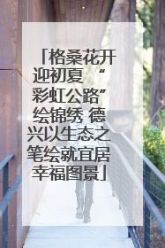 格桑花开迎初夏 “彩虹公路”绘锦绣 德兴以生态之笔绘就宜居幸福图景