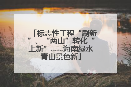 标志性工程“刷新”、“两山”转化“上新”……海南绿水青山景色新