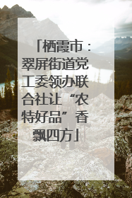 栖霞市：翠屏街道党工委领办联合社让“农特好品”香飘四方