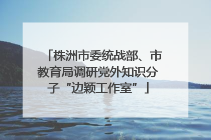 株洲市委统战部、市教育局调研党外知识分子“边颖工作室”