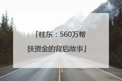 桂东：560万帮扶资金的背后故事