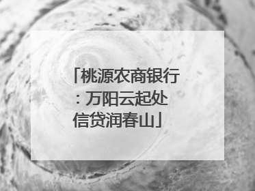 桃源农商银行：万阳云起处 信贷润春山