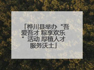 桦川县举办“吾爱吾才 粽享欢乐”活动 厚植人才服务沃土