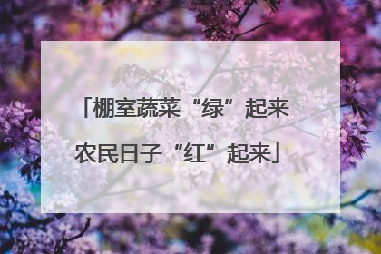棚室蔬菜“绿”起来 农民日子“红”起来