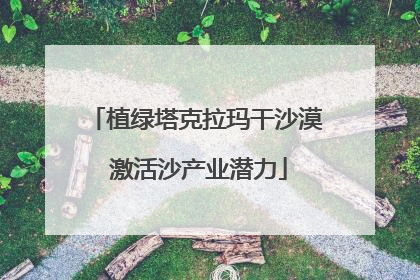 植绿塔克拉玛干沙漠 激活沙产业潜力