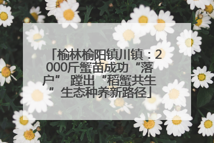 榆林榆阳镇川镇：2000斤蟹苗成功“落户” 蹚出“稻蟹共生”生态种养新路径