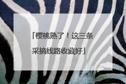 樱桃熟了！这三条采摘线路收藏好