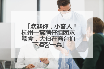 欢迎你，小客人！杭州一窝萌仔组团求喂食，大伯在窗台拍下温馨一幕
