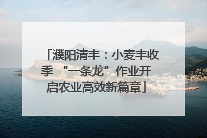 濮阳清丰：小麦丰收季 “一条龙”作业开启农业高效新篇章