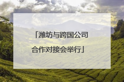 潍坊与跨国公司合作对接会举行