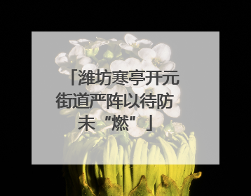 潍坊寒亭开元街道严阵以待防未“燃”
