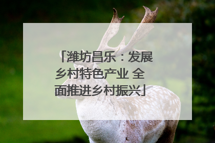 潍坊昌乐：发展乡村特色产业 全面推进乡村振兴