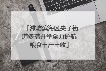 潍坊滨海区央子街道多措并举全力护航粮食丰产丰收