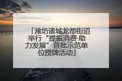 潍坊诸城龙都街道举行“提振消费·助力发展”首批示范单位授牌活动