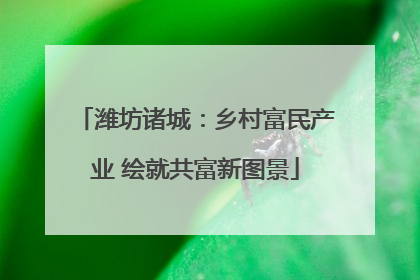 潍坊诸城：乡村富民产业 绘就共富新图景