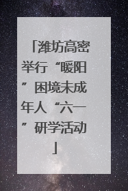 潍坊高密举行“暖阳”困境未成年人“六一”研学活动