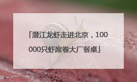 潜江龙虾走进北京，100000只虾席卷大厂餐桌