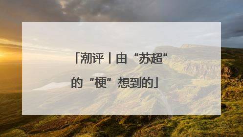 潮评丨由“苏超”的“梗”想到的