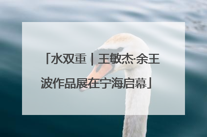 水双重｜王敏杰·余王波作品展在宁海启幕
