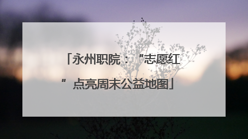 永州职院：“志愿红”点亮周末公益地图