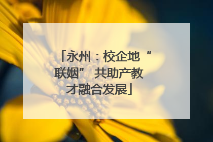 永州：校企地“联姻” 共助产教才融合发展