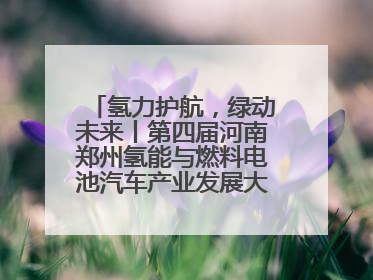 氢力护航，绿动未来丨第四届河南郑州氢能与燃料电池汽车产业发展大会启幕