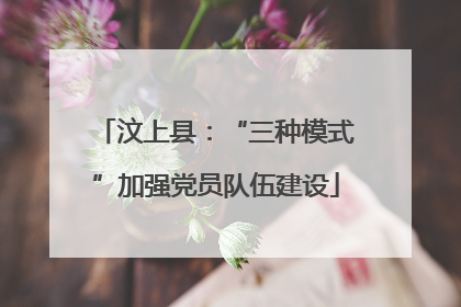 汶上县：“三种模式”加强党员队伍建设
