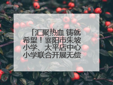 汇聚热血 铸就希望！襄阳市朱坡小学、太平店中心小学联合开展无偿献血活动