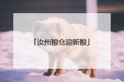 汝州粮仓迎新粮