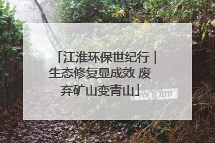 江淮环保世纪行｜生态修复显成效 废弃矿山变青山