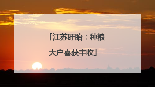 江苏盱眙：种粮大户喜获丰收