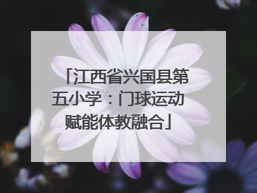 江西省兴国县第五小学：门球运动赋能体教融合