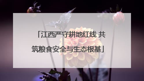 江西严守耕地红线 共筑粮食安全与生态根基