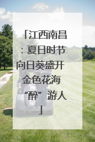 江西南昌：夏日时节向日葵盛开 金色花海“醉”游人