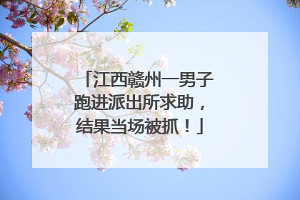 江西赣州一男子跑进派出所求助，结果当场被抓！