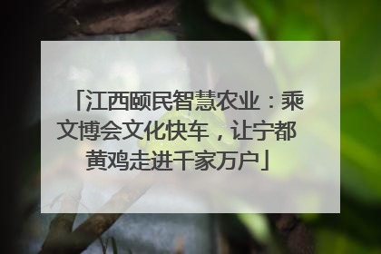 江西颐民智慧农业：乘文博会文化快车，让宁都黄鸡走进千家万户