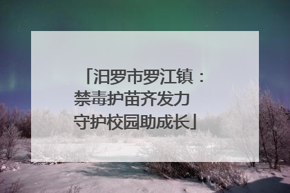 汨罗市罗江镇：禁毒护苗齐发力 守护校园助成长