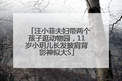 汪小菲夫妇带两个孩子逛动物园，11岁小玥儿长发披肩背影神似大S