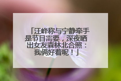 汪峰称与宁静牵手是节目需要，深夜晒出女友森林北合照：我俩好着呢！