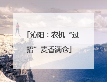 沁阳：农机“过招”麦香满仓